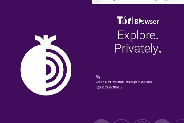 Kraken official